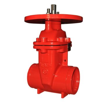 190717515 Válvula compuerta NRS-G 21 bar 2.5" DN65 RAN FM&UL